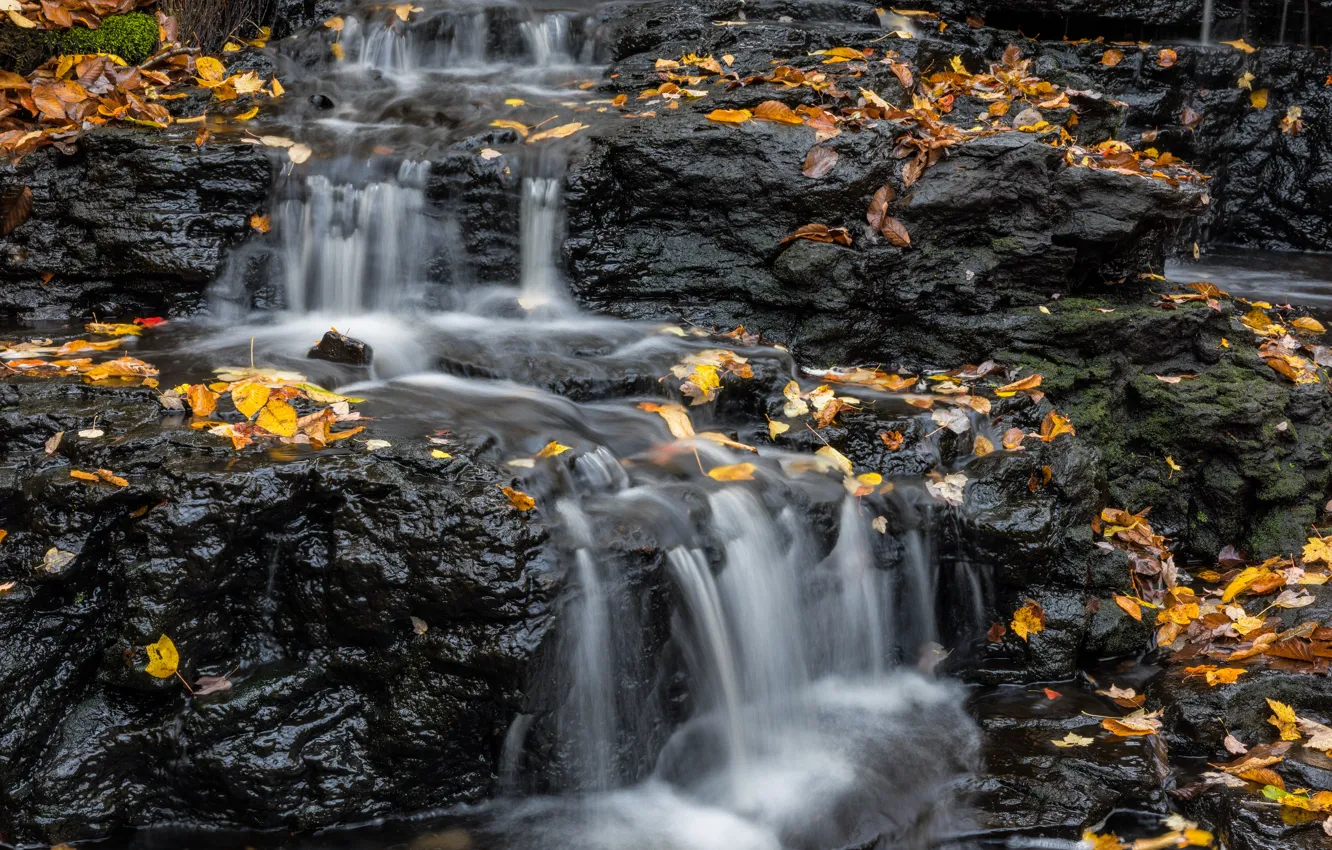 Photo wallpaper autumn, nature, rocks, shore, foliage, waterfall, stream