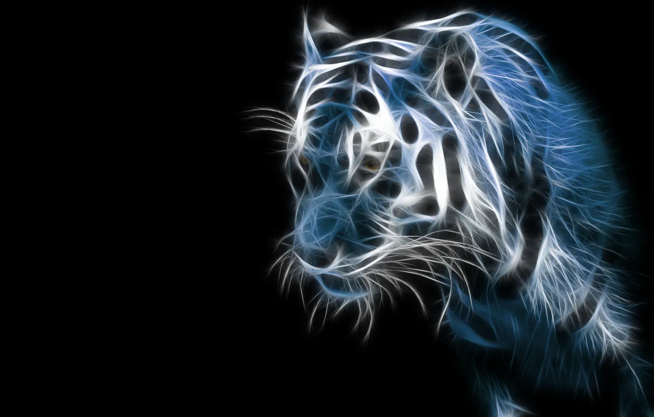 Photo wallpaper tiger, dark, black background