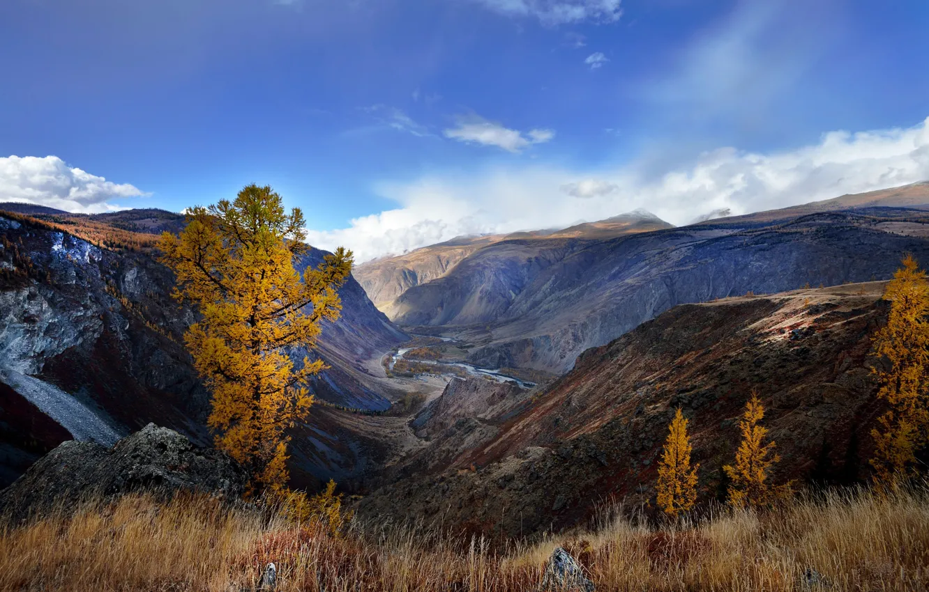 Photo wallpaper autumn, mountains, Altay