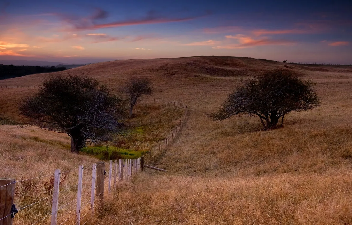Photo wallpaper grass, trees, landscape, nature, hills, the fence, full hd wallpapers