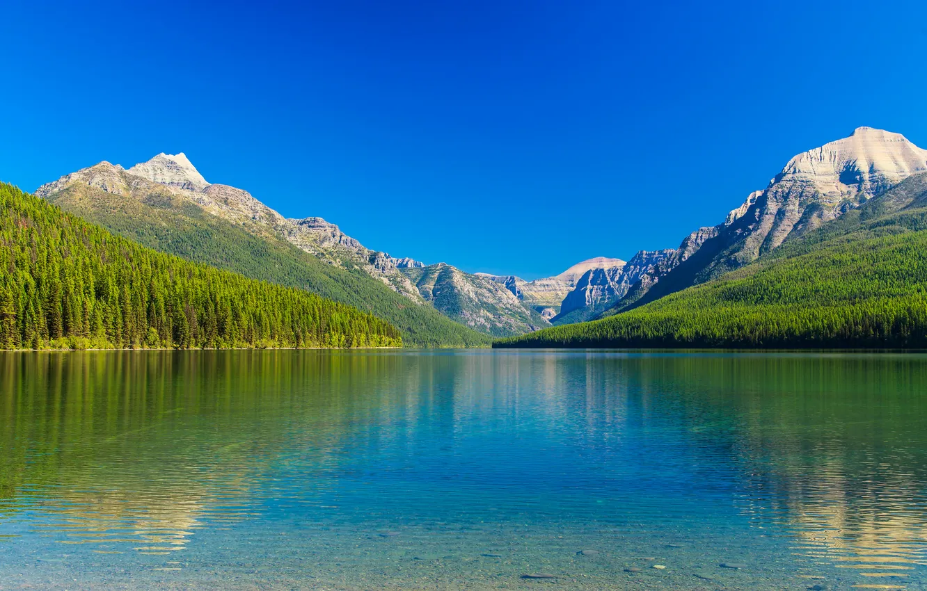Photo wallpaper forest, the sky, trees, mountains, lake, slope