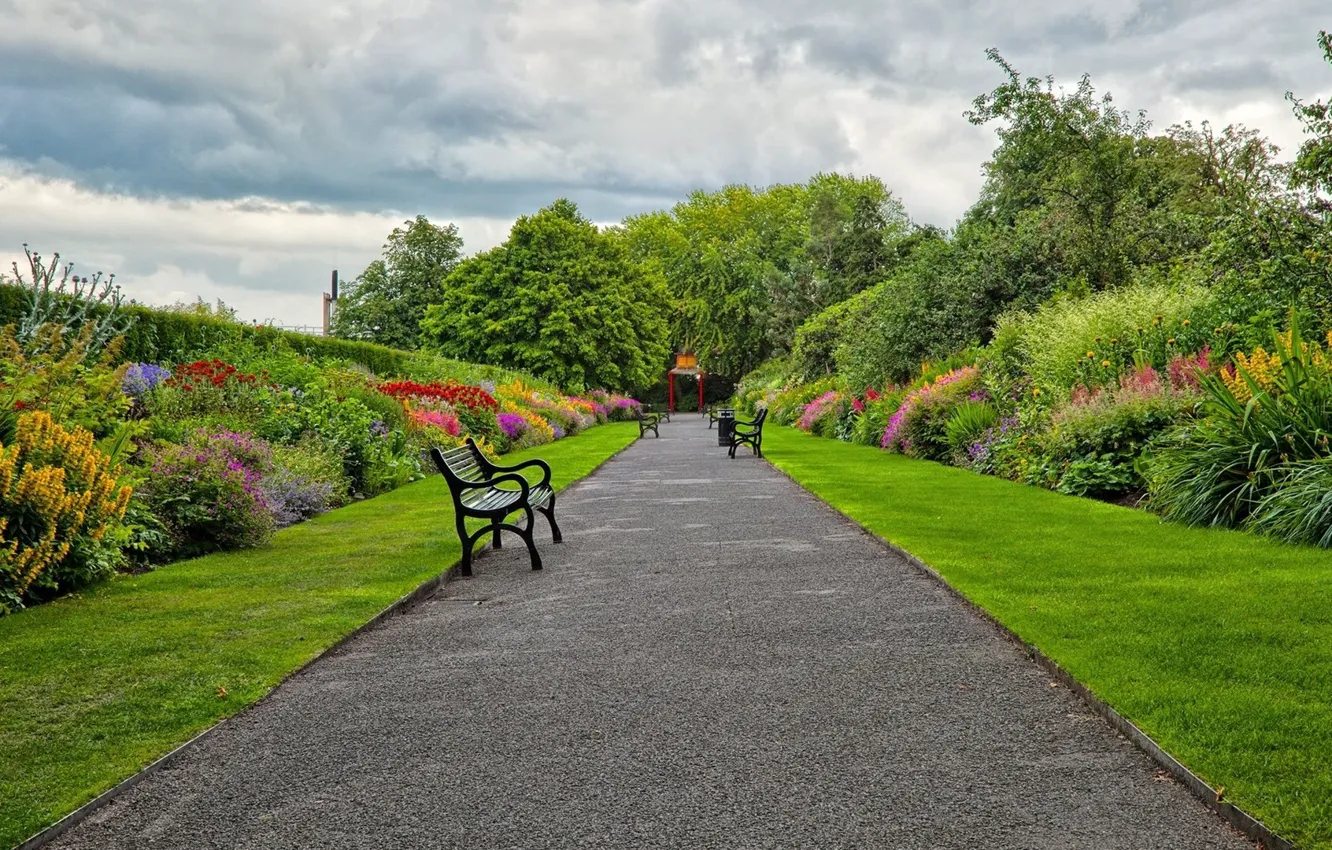 Photo wallpaper trees, garden, bench