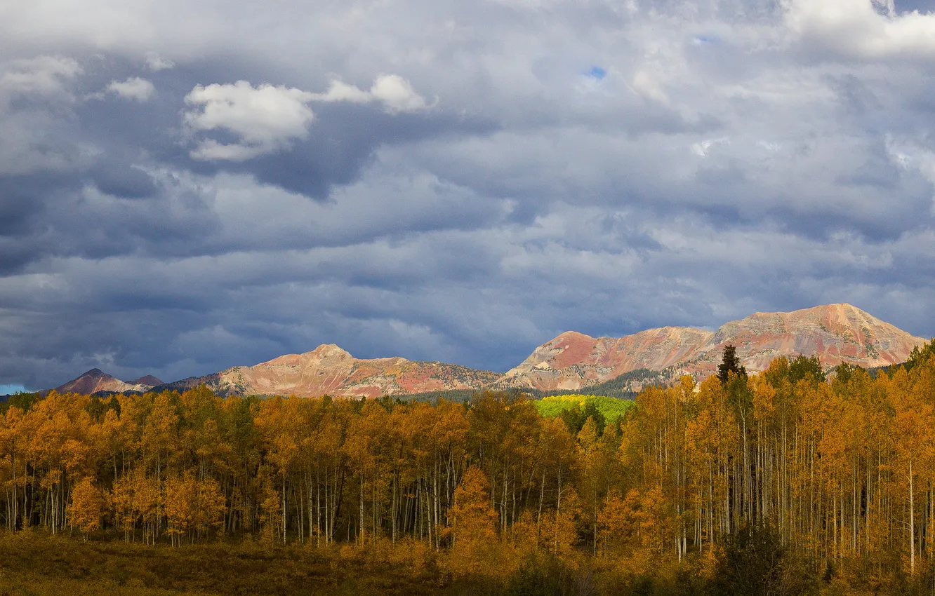 Photo wallpaper autumn, forest, the sky, clouds, mountains, overcast, slope