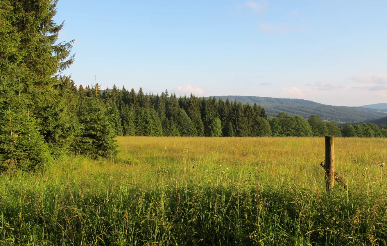 Photo wallpaper field, forest, mountains, Czech Republic, Sumava, Sumava national Park