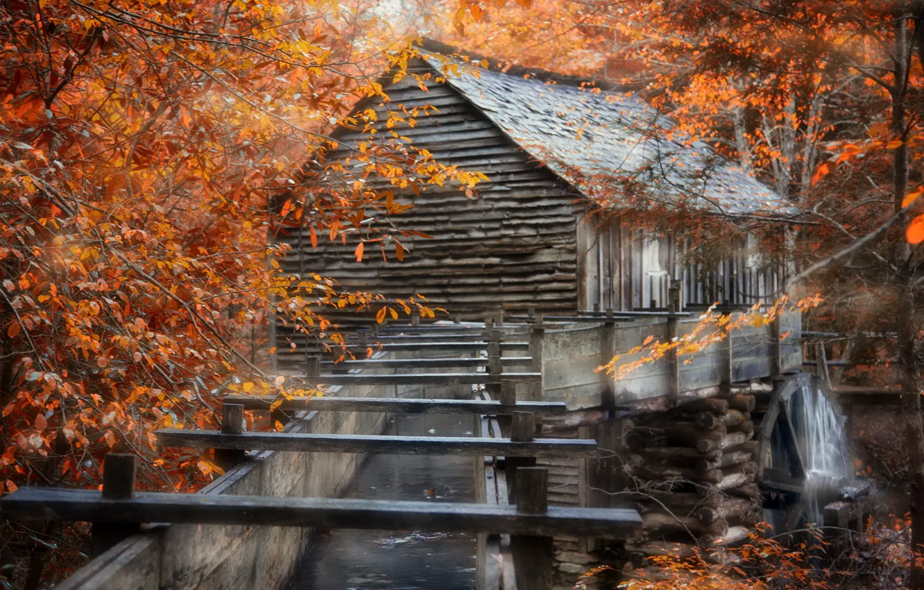 Photo wallpaper nature, background, mill