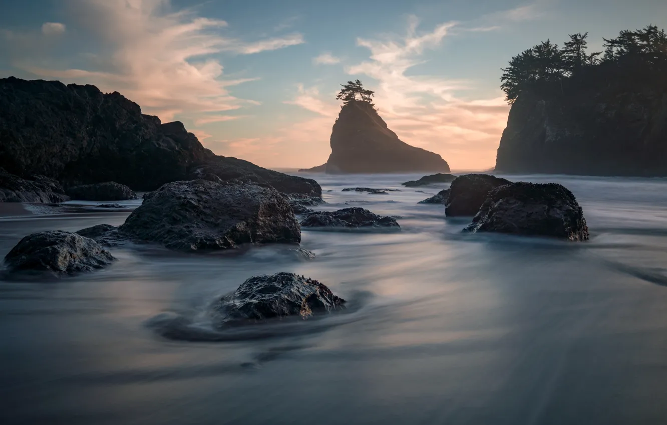 Photo wallpaper sea, the sky, clouds, trees, blue, stones, the ocean, rocks