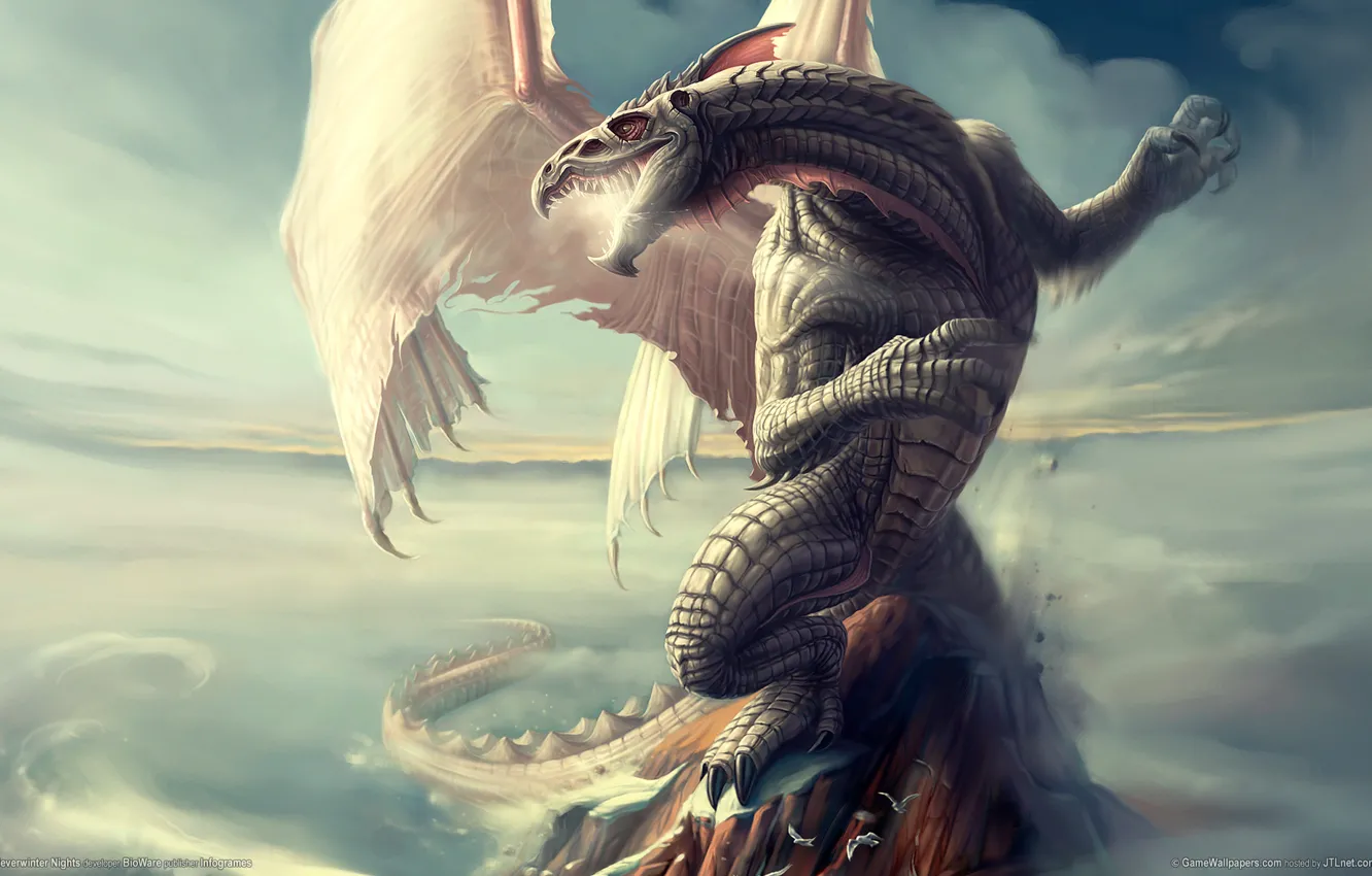 Photo wallpaper dragon, scales, neverwinter nights