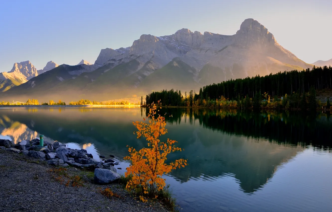 Photo wallpaper forest, trees, mountains, lake, morning, haze, Canada, Banff