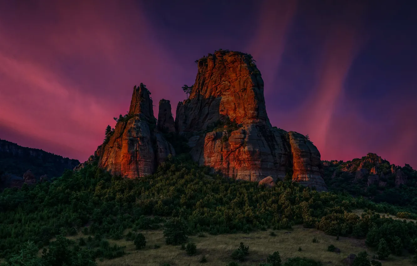Photo wallpaper forest, landscape, night, nature, rocks, Bulgaria, Hog Kamk, Edie Adams