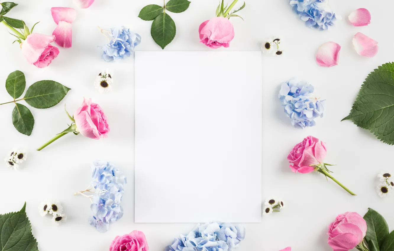Photo wallpaper leaves, flowers, background, roses, spring, petals, buds