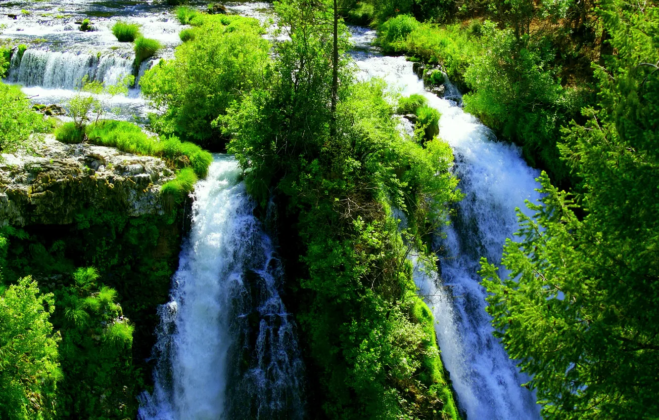 Photo wallpaper greens, water, waterfall, bright, a lot