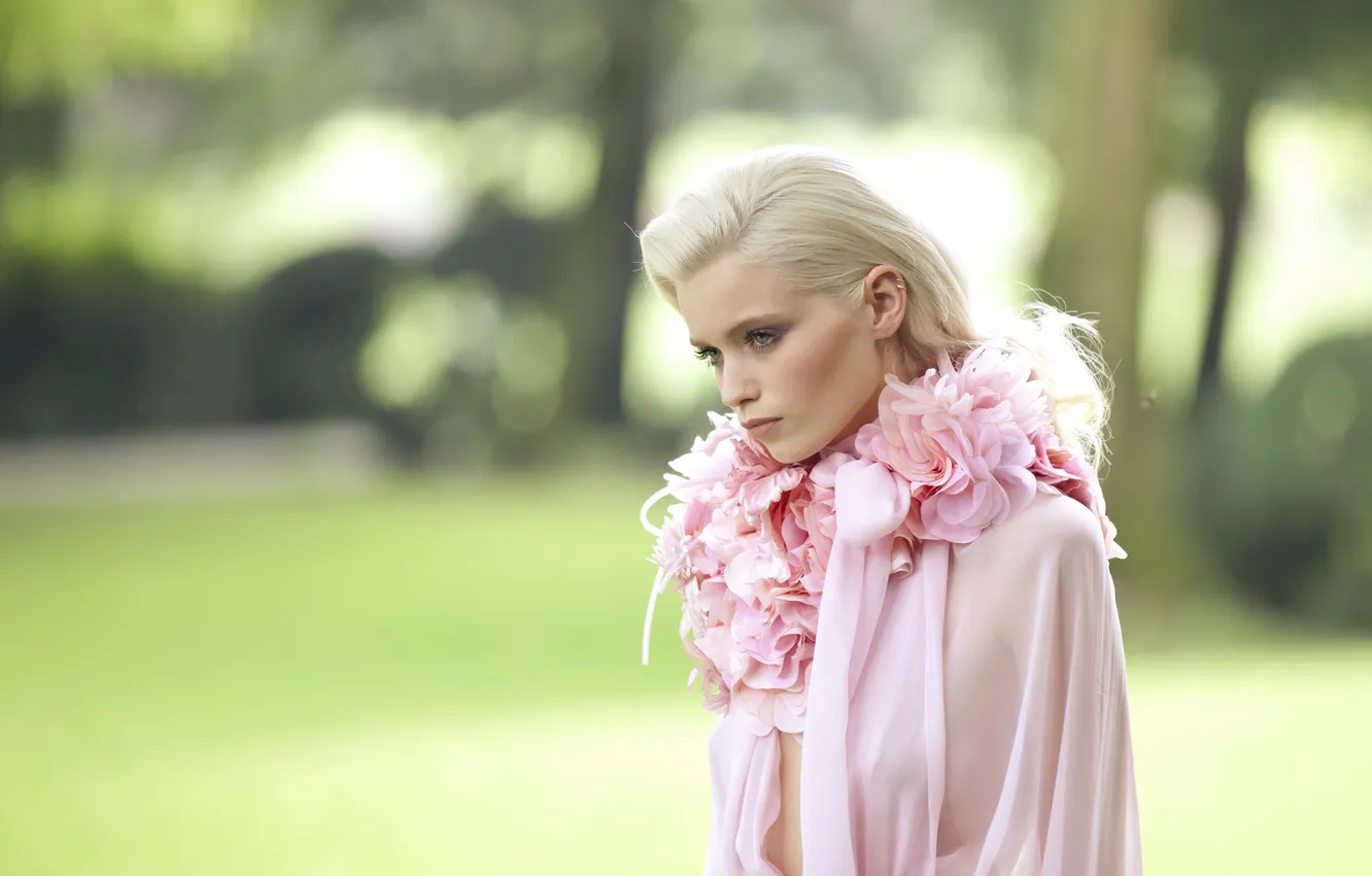 Photo wallpaper look, model, makeup, actress, blonde, hair, Abbey Lee Kershaw, Abbey Lee