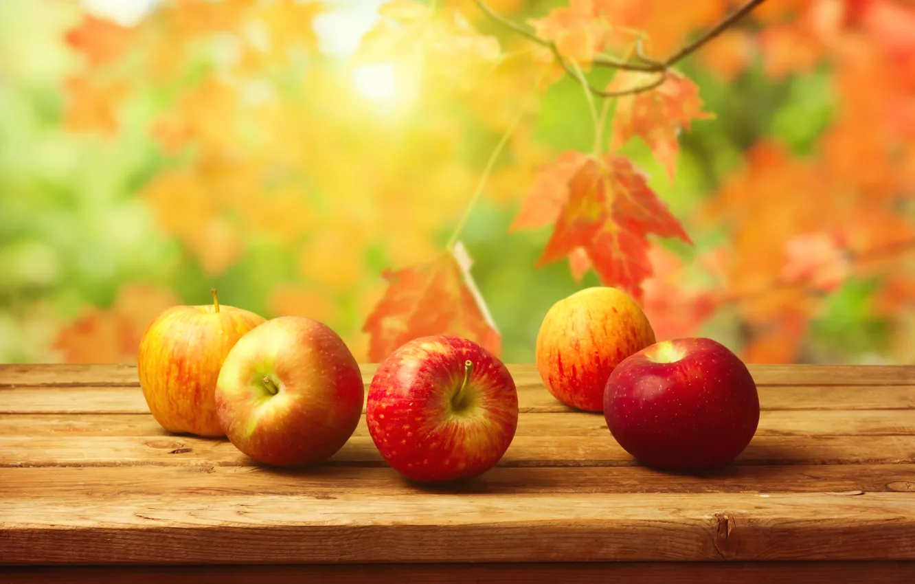 Photo wallpaper autumn, leaves, table, background, apples, harvest, fruit