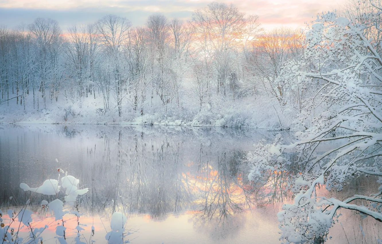 Photo wallpaper winter, forest, snow, lake, reflection, the evening