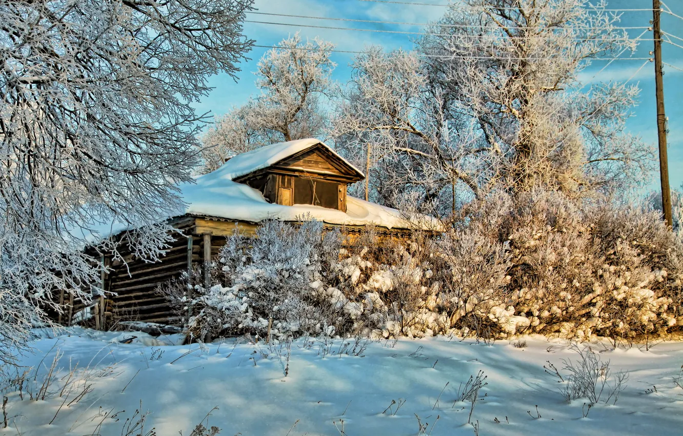 Photo wallpaper winter, snow, trees, nature, photo, home