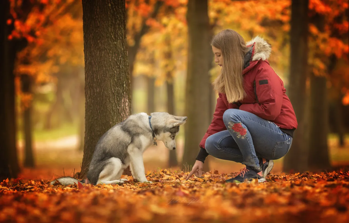 Photo wallpaper autumn, girl, dog