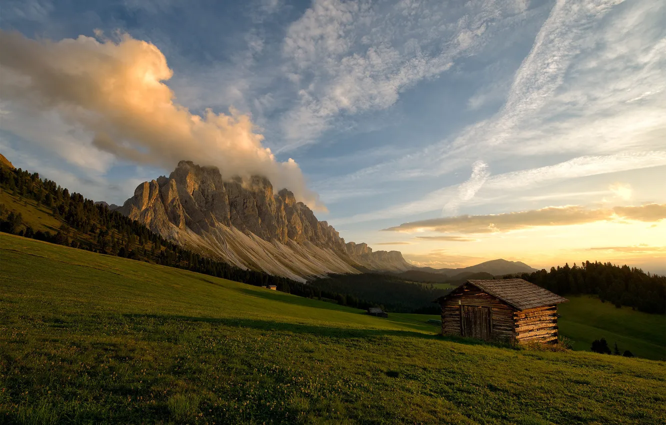 Photo wallpaper forest, summer, the sky, grass, clouds, light, sunset, mountains