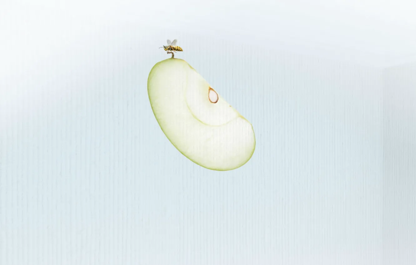 Photo wallpaper bee, Apple, minimalism