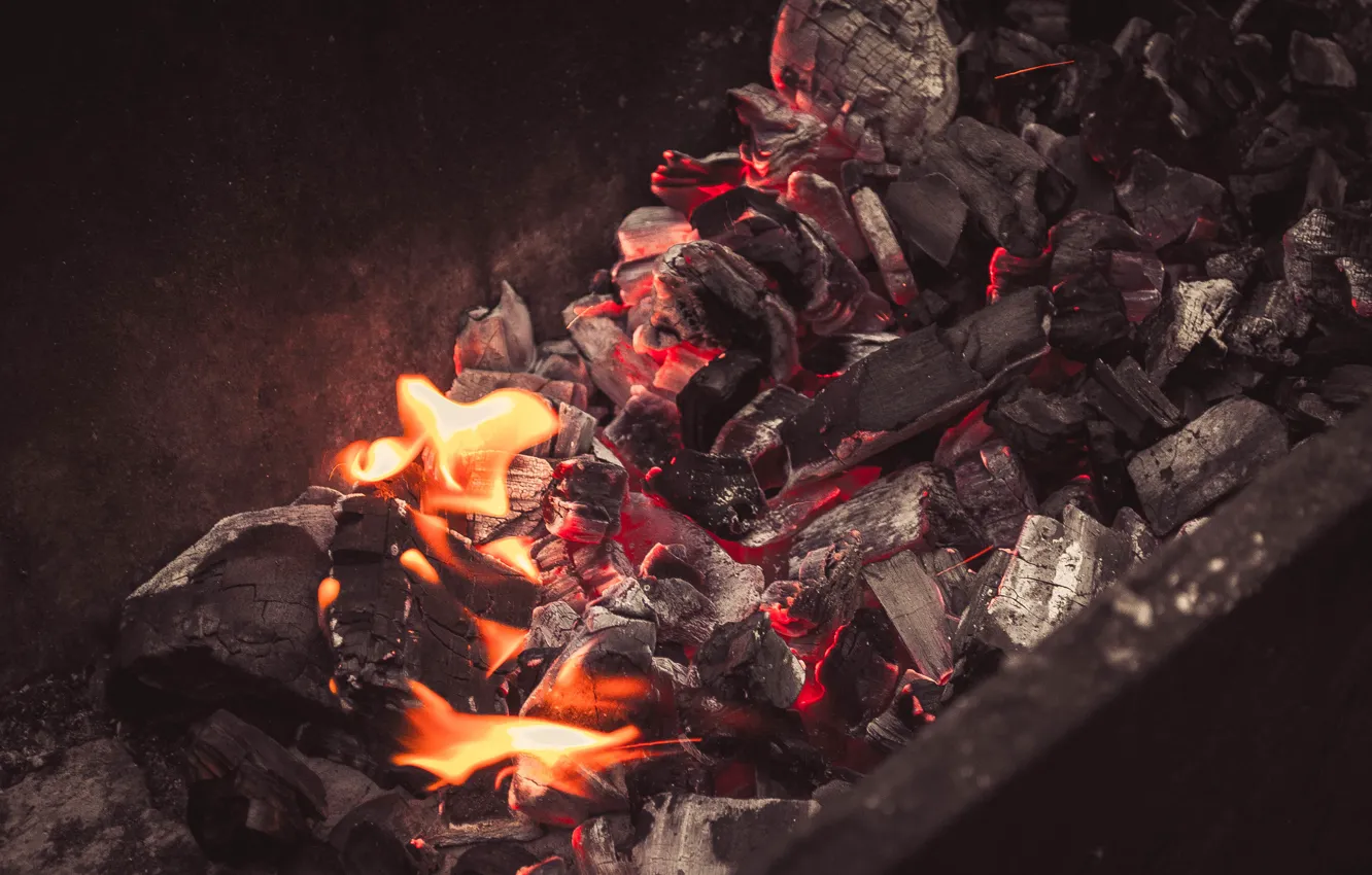 Photo wallpaper nature, fire, wood, coal, grill