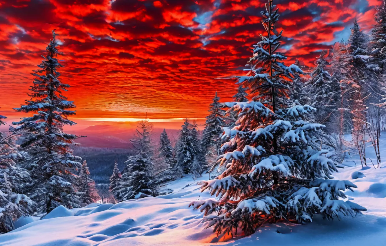 Photo wallpaper winter, landscape, sunset, tree