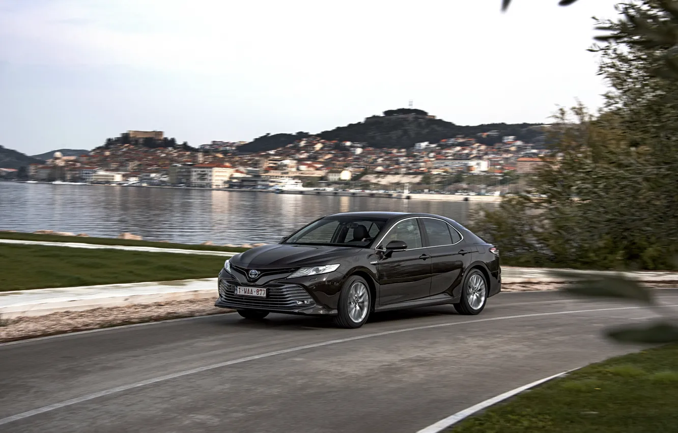 Photo wallpaper road, Toyota, sedan, Hybrid, Camry, the pond, 2019