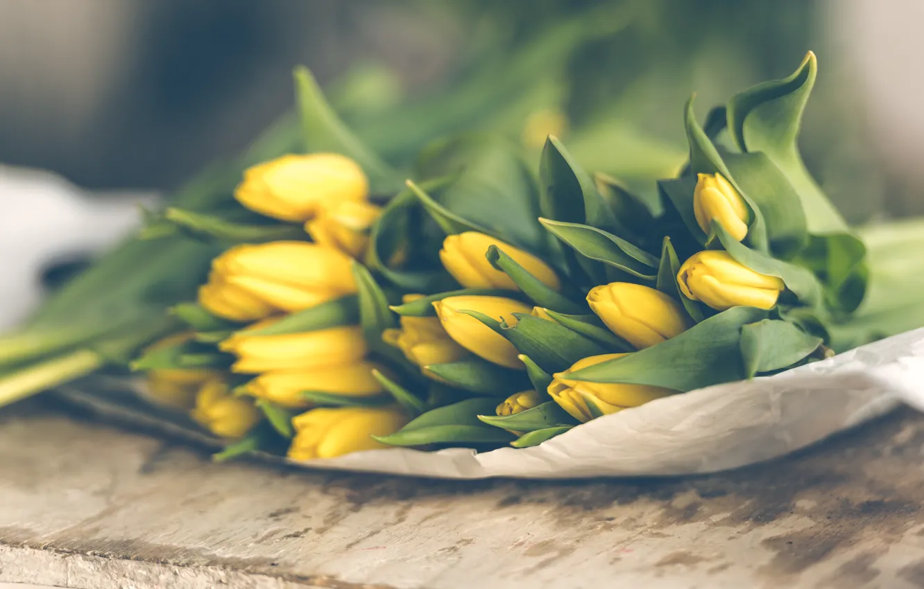 Photo wallpaper flowers, yellow, tulips, buds