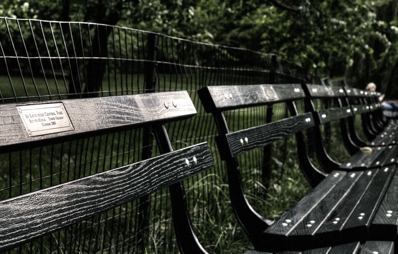 Photo wallpaper USA, grass, trees, New York, Manhattan, NYC, New York City, fence