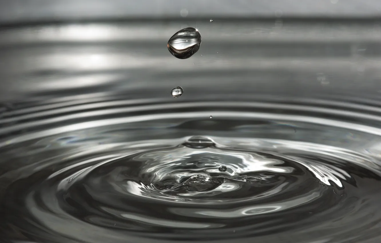 Photo wallpaper water, drops, black and white