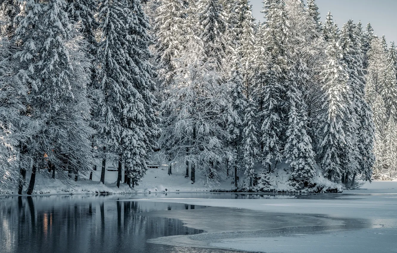 Photo wallpaper winter, snow, trees, lake