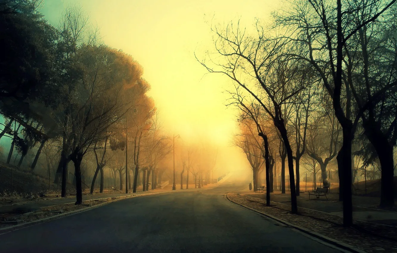 Photo wallpaper road, trees, fog, alley