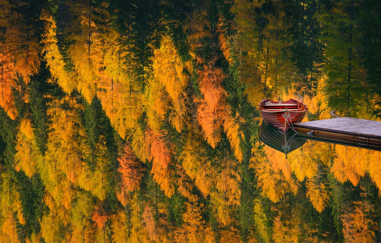 Photo wallpaper autumn, forest, trees, nature, lake, reflection, boat, pier