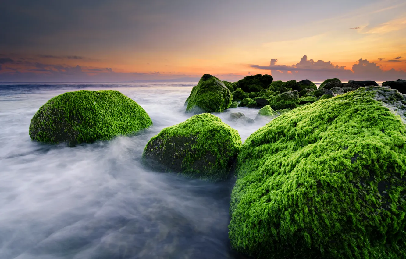 Photo wallpaper beach, stones, the ocean, Bali, Indonesia, Masceti Beach, weed, Ketewel