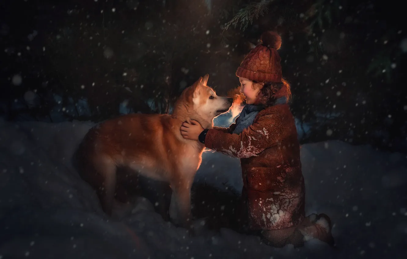 Photo wallpaper winter, snow, each, dog, the evening, girl, child, dog