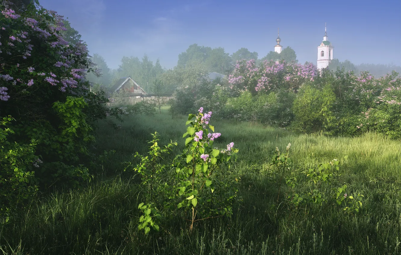 Photo wallpaper fog, Church, lilac