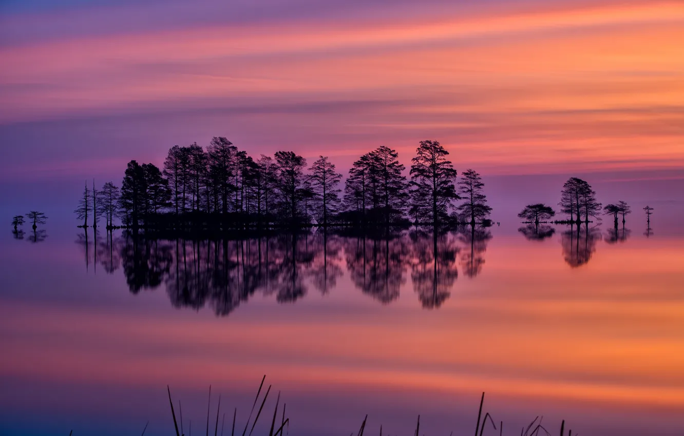 Photo wallpaper the sky, trees, sunset, lake, reflection, the evening, USA, North Carolina
