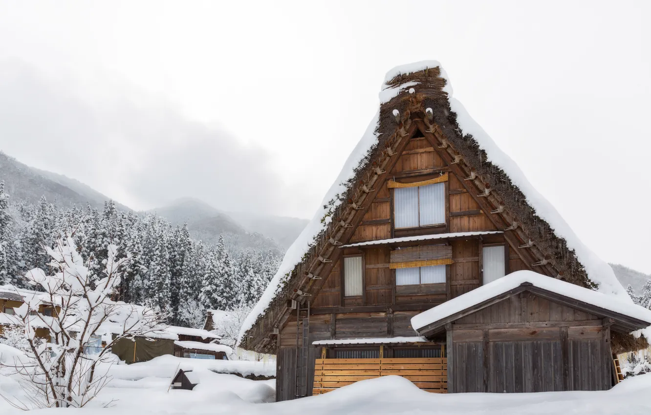 Photo wallpaper winter, snow, trees, landscape, winter, house, house, landscape