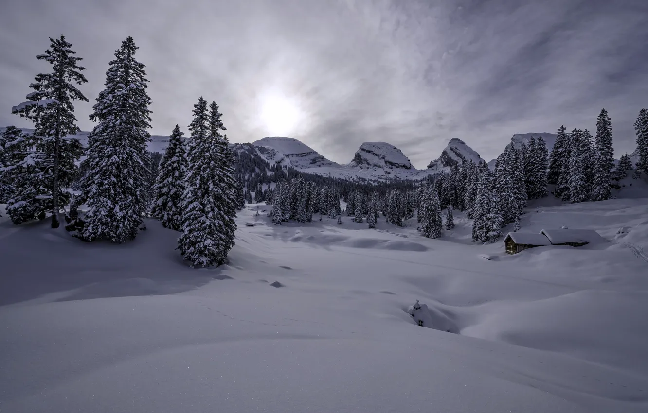 Photo wallpaper winter, snow, mountains, Switzerland, ate, Alps, the snow, house