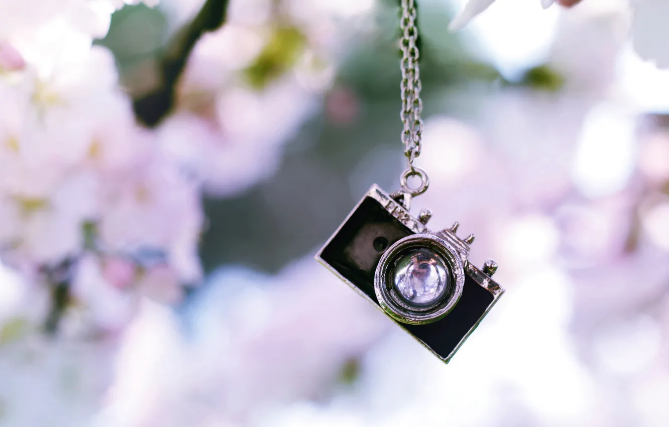 Photo wallpaper decoration, camera, the camera, suspension
