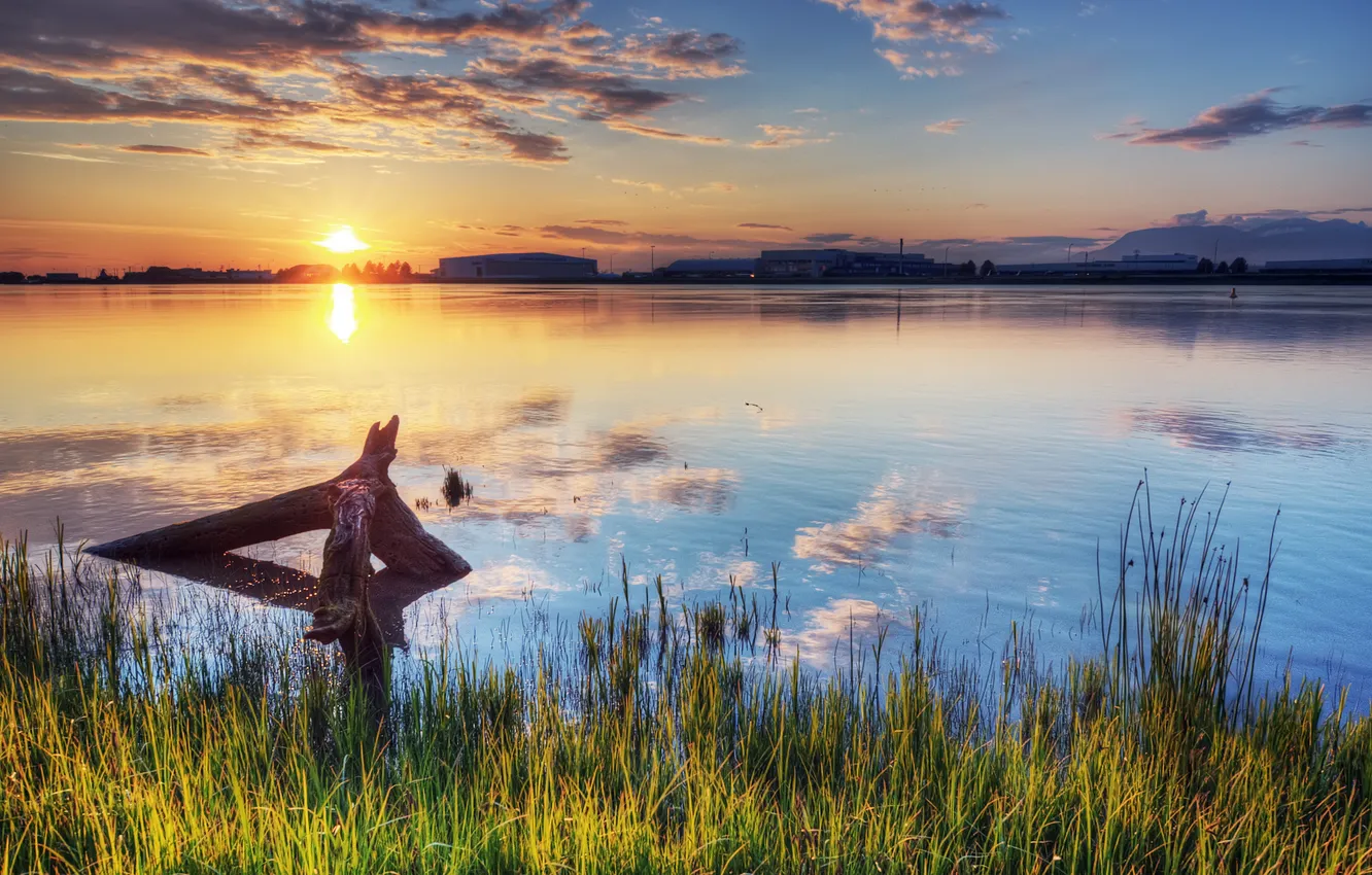 Photo wallpaper grass, the sun, the city, lake, the evening, snag
