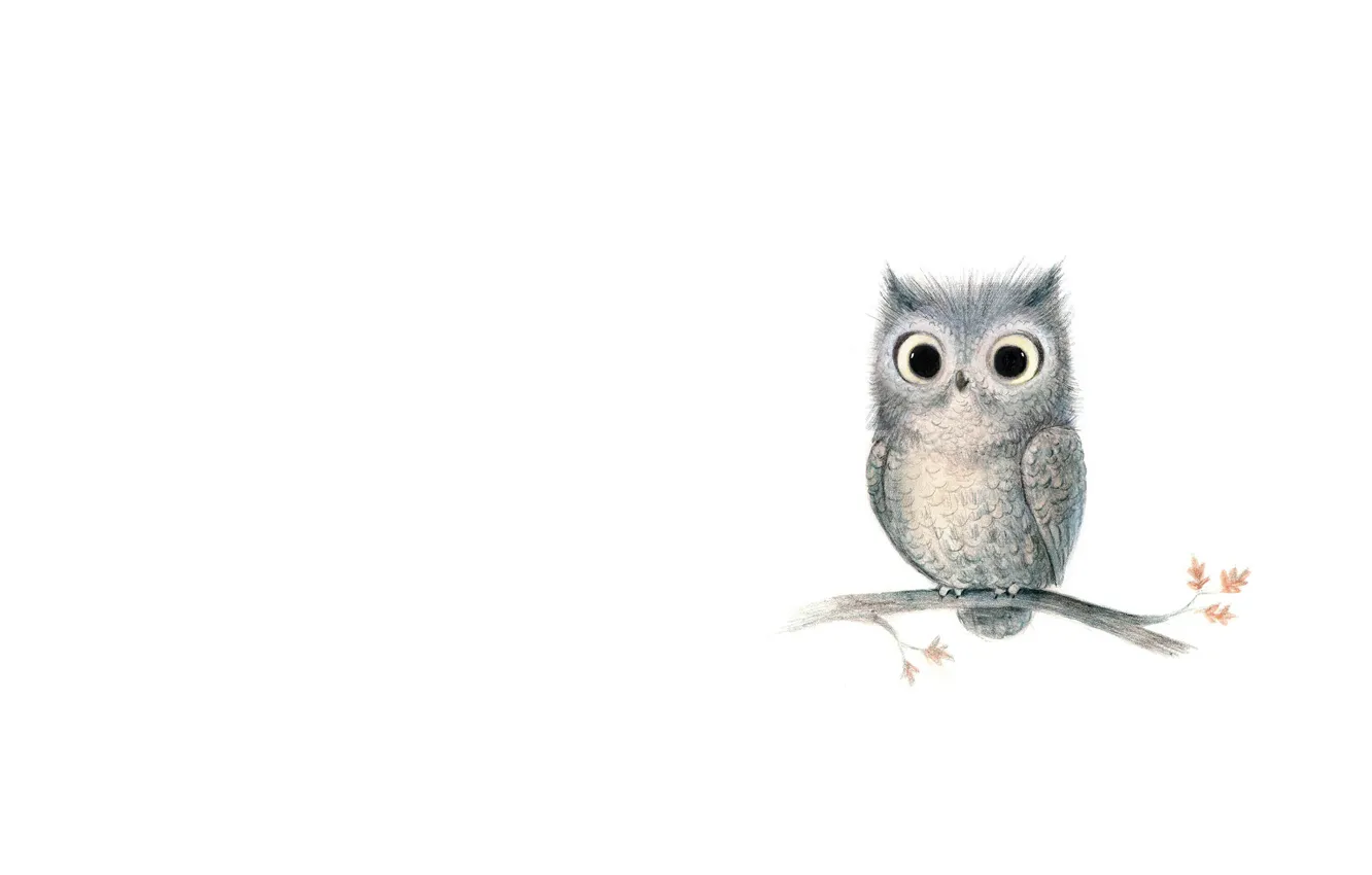 Photo wallpaper branches, background, owl, art, children's, sovushka