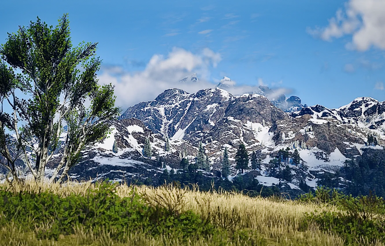 Photo wallpaper HDR, game, sky, clouds, mountain, snow, tree, woods