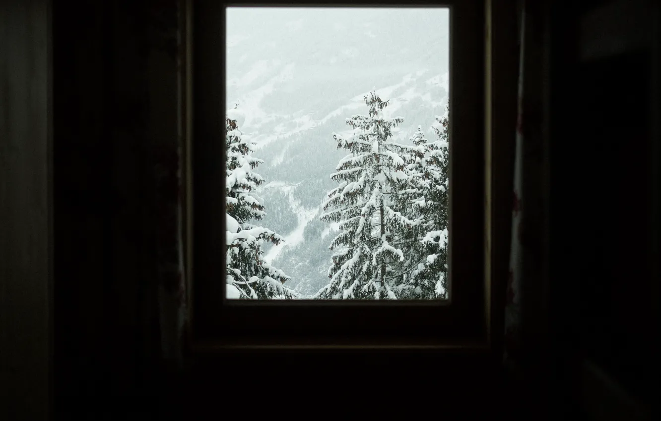 Photo wallpaper winter, snow, trees, room, view, slope, window, trees