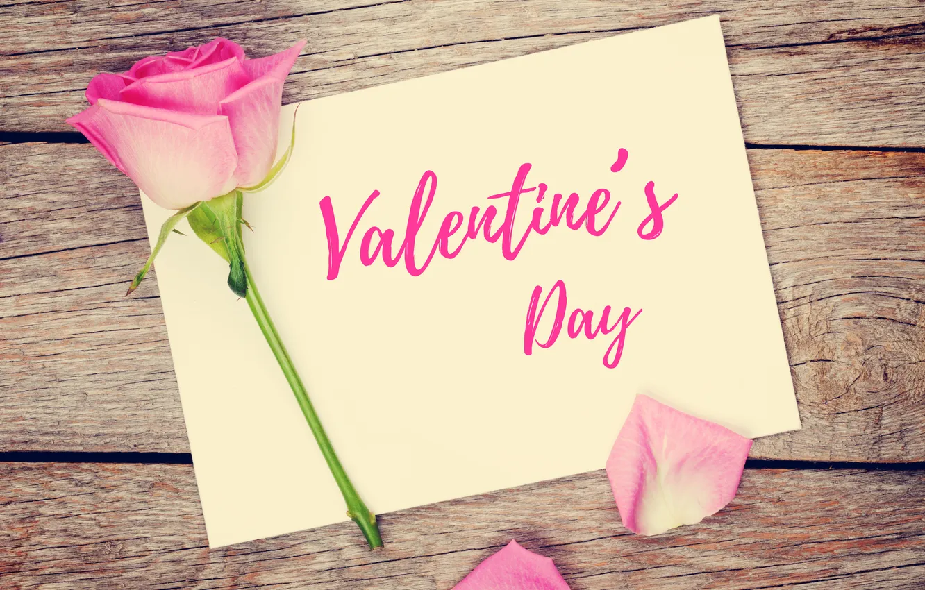 Photo wallpaper love, flowers, romance, roses, love, Valentine's day, wood, pink