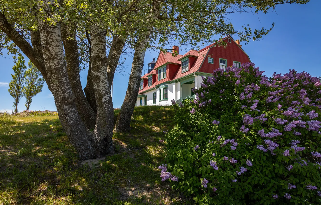 Photo wallpaper trees, lighthouse, birch, lilac, Point Betsie Lighthouse, Michigan, Frankfort, Michigan State