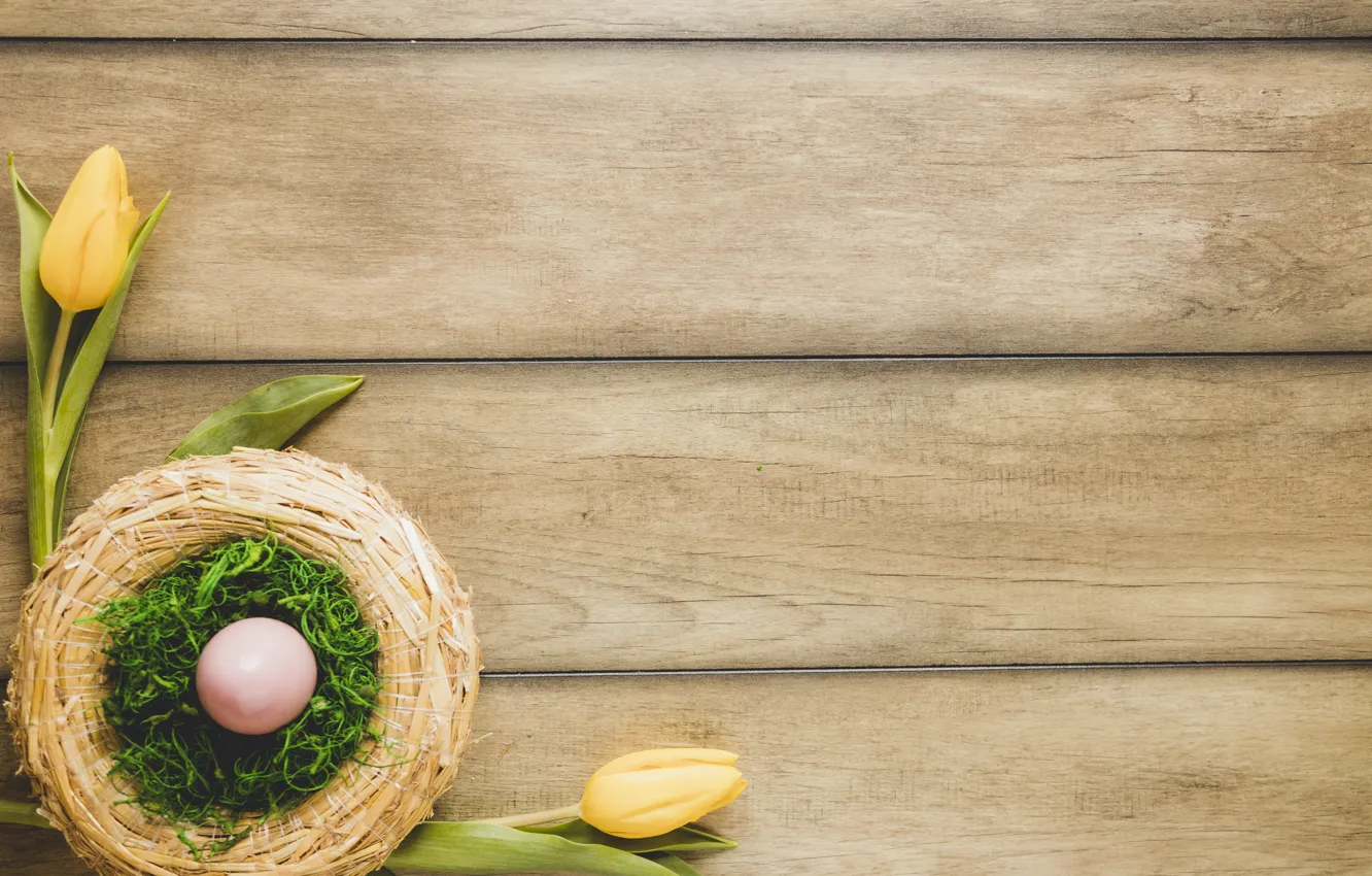 Photo wallpaper egg, moss, Flowers, spring, Easter, socket, tulips, Holiday