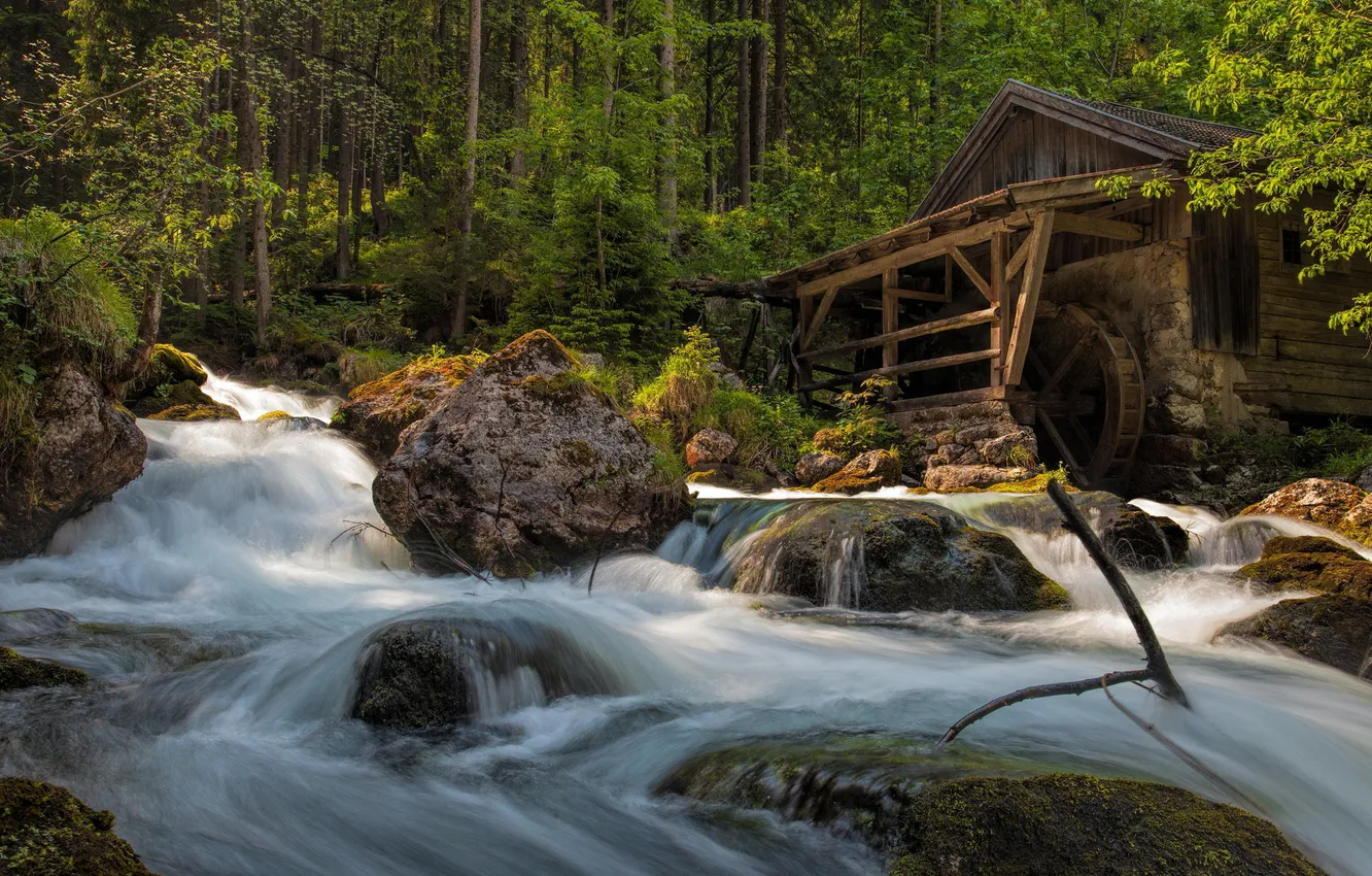 Photo wallpaper forest, water, trees, river, stones, stream, hut