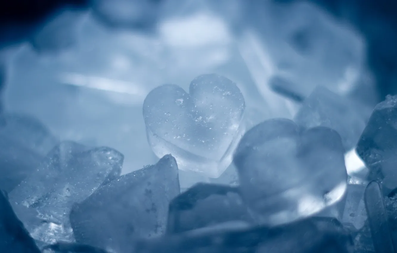 Photo wallpaper ice, macro, hearts