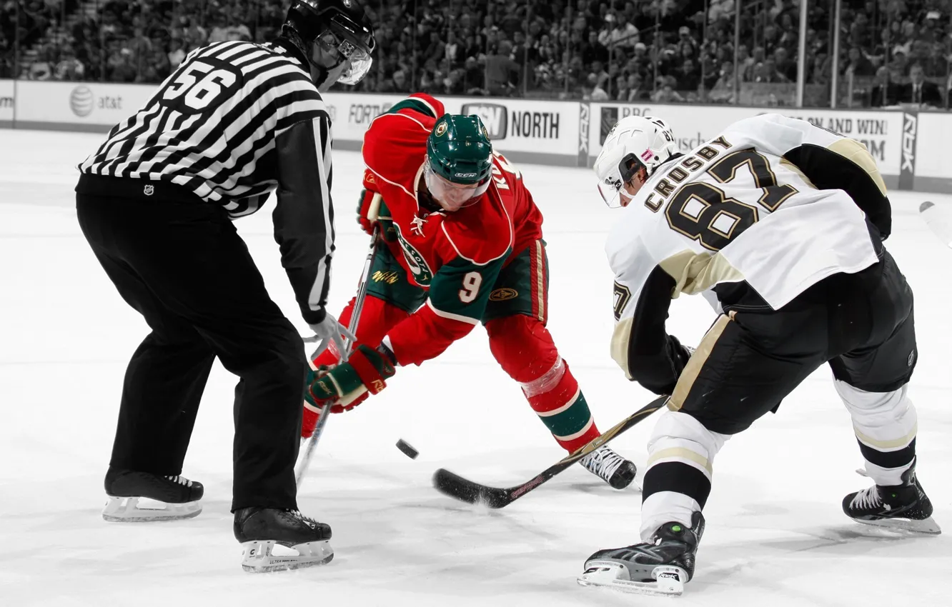 Photo wallpaper rink, hockey, washer, the referee