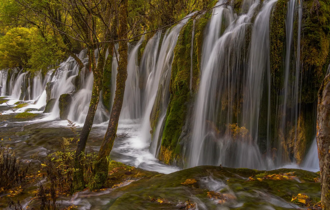 Photo wallpaper autumn, trees, China, waterfall, China, cascade, Jiuzhai valley national Park, Jiuzhai Valley National Park