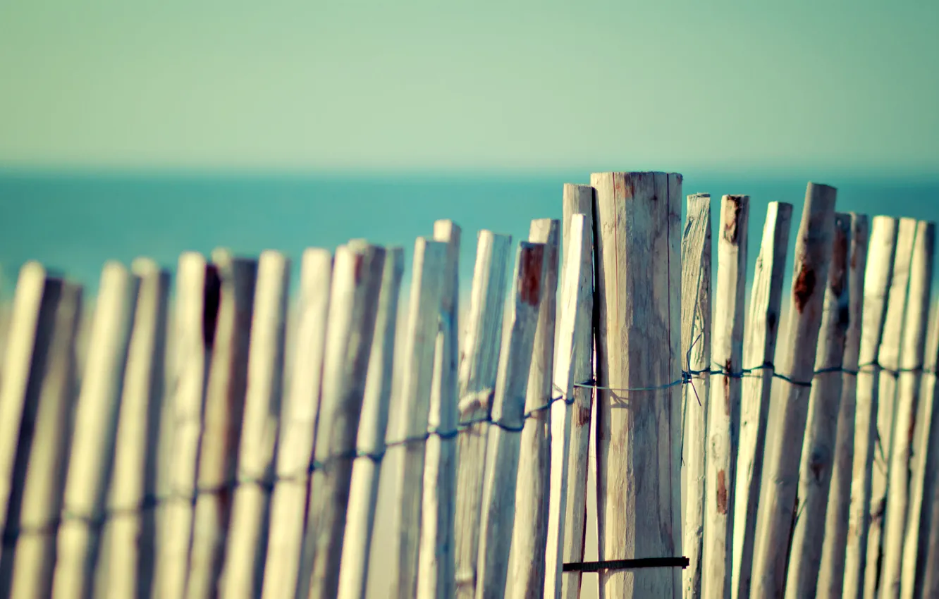 Photo wallpaper sea, beach, summer, the sky, water, macro, trees, the ocean